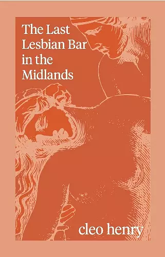 The Last Lesbian Bar in the Midlands cover