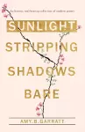 Sunlight Stripping Shadows Bare cover