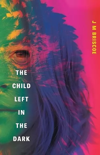 The Child Left In The Dark cover