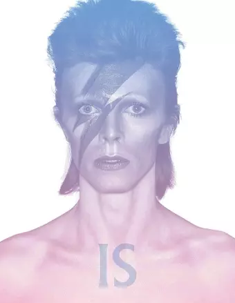 David Bowie Is cover