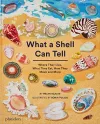 What A Shell Can Tell cover