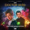 The Tenth Doctor Adventures: The Tenth Doctor and River Song - Precious Annihilation cover