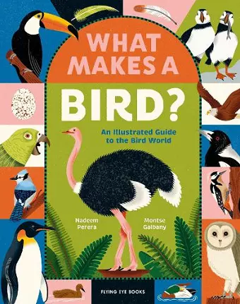 What Makes a Bird? cover