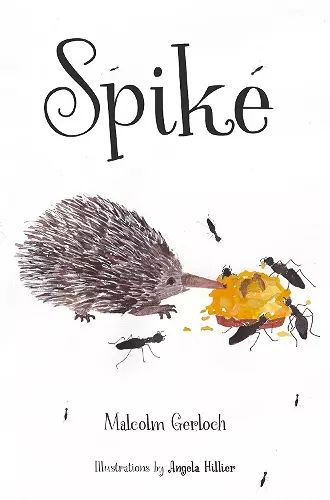 Spike cover