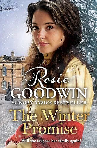 The Winter Promise cover