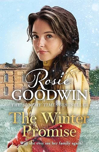 The Winter Promise cover