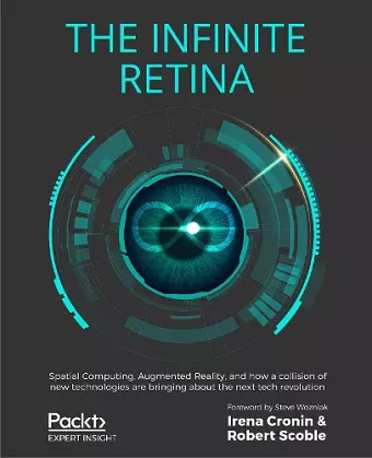 The The Infinite Retina cover