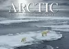 Arctic cover