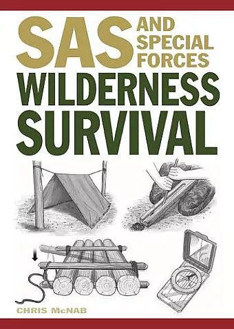Wilderness Survival cover