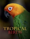 Tropical Birds cover
