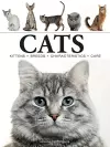 Cats cover