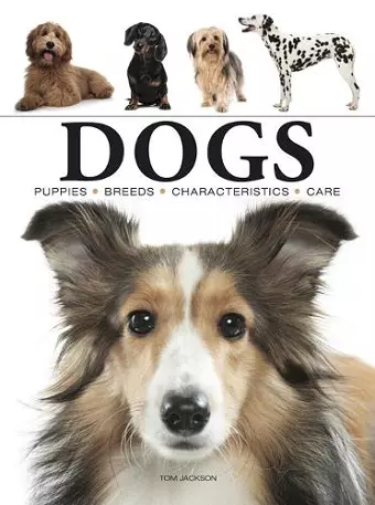 Dogs cover