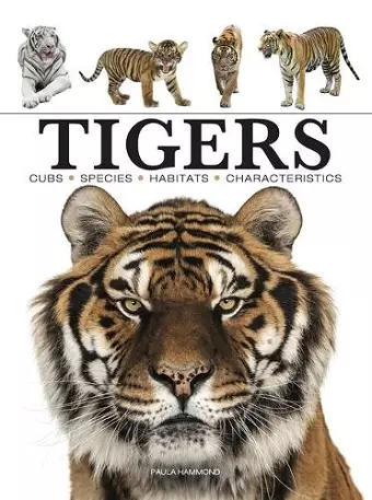 Tigers cover