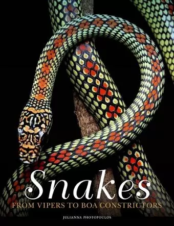 Snakes cover