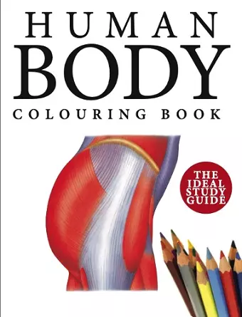 Human Body Colouring Book cover