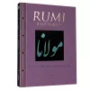 Rumi Illustrated cover
