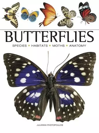 Butterflies cover