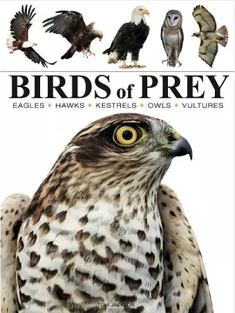 Birds of Prey cover