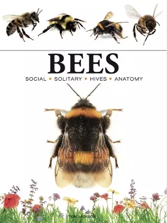 Bees cover