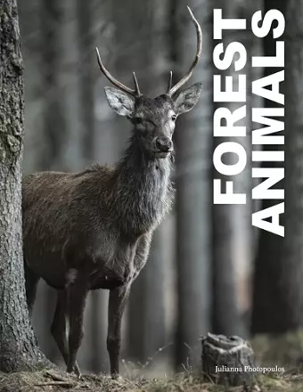Forest Animals cover