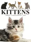 Kittens cover