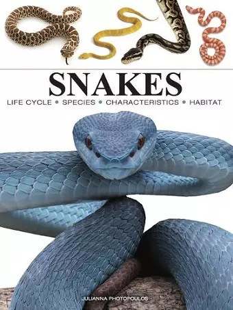 Snakes cover