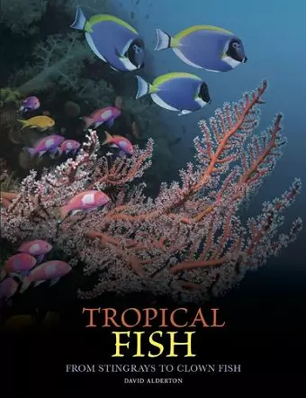 Tropical Fish cover