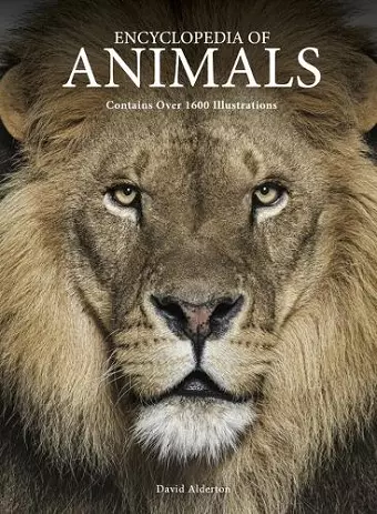 Encyclopedia of Animals cover