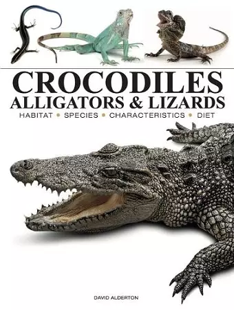 Crocodiles, Alligators & Lizards cover