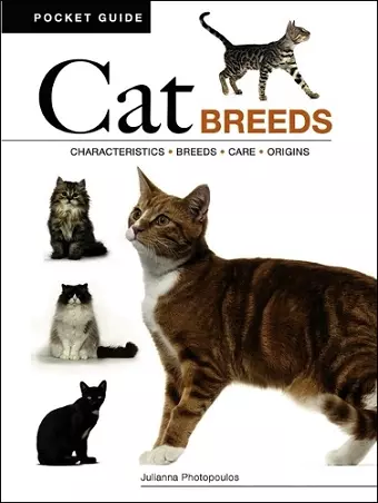 Cat Breeds cover
