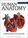 Human Anatomy cover