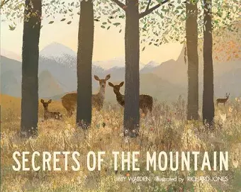 Secrets of the Mountain cover