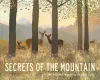 Secrets of the Mountain cover