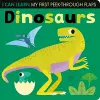 Dinosaurs cover