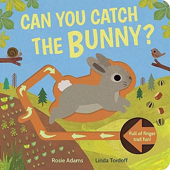 Can You Catch the Bunny? cover