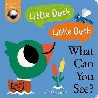 Little Duck, Little Duck, What Can You See? cover