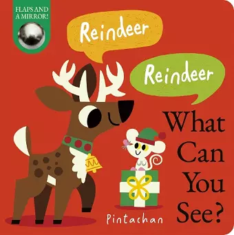 Reindeer! Reindeer! What Can You See? cover