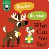 Reindeer! Reindeer! What Can You See? cover