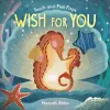 Touch-and-Feel Flaps: Wish for You cover