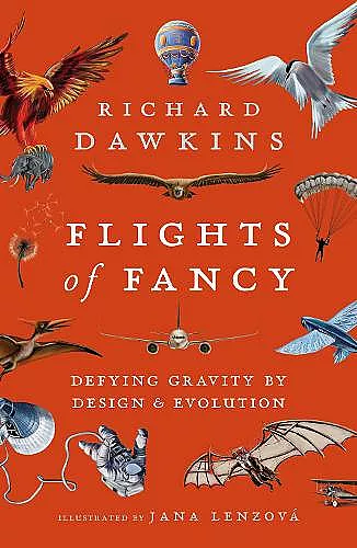 Flights of Fancy cover