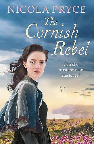 The Cornish Rebel cover