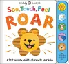 See, Touch, Feel: Roar cover