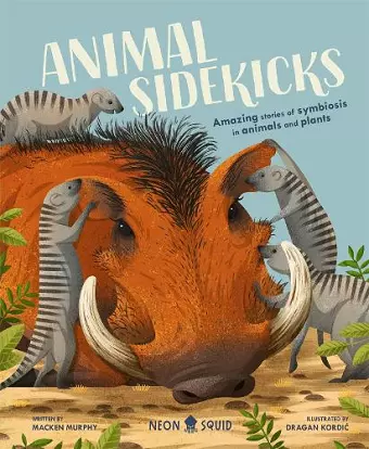 Animal Sidekicks cover