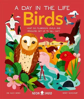 Birds (A Day in the Life) cover
