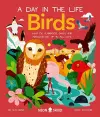 Birds (A Day in the Life) cover