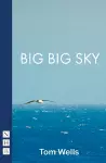 Big Big Sky cover