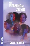 The Meaning of Zong cover