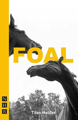 Foal cover