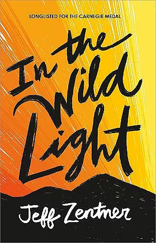 In the Wild Light cover