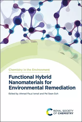 Functional Hybrid Nanomaterials for Environmental Remediation cover